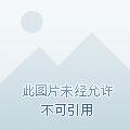 全民觉醒我在诸天梦中证道TXT百度