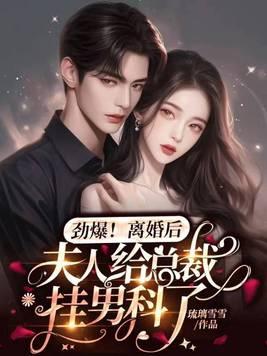 离婚后夫人搞事业