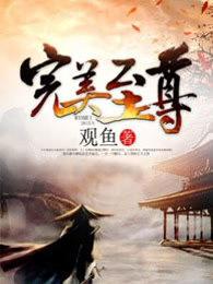 完美至尊动漫合集在线看